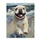 Stupell Industries Sunny Paws Dog on Beach Canvas, design by Svetlana Aleynikova
